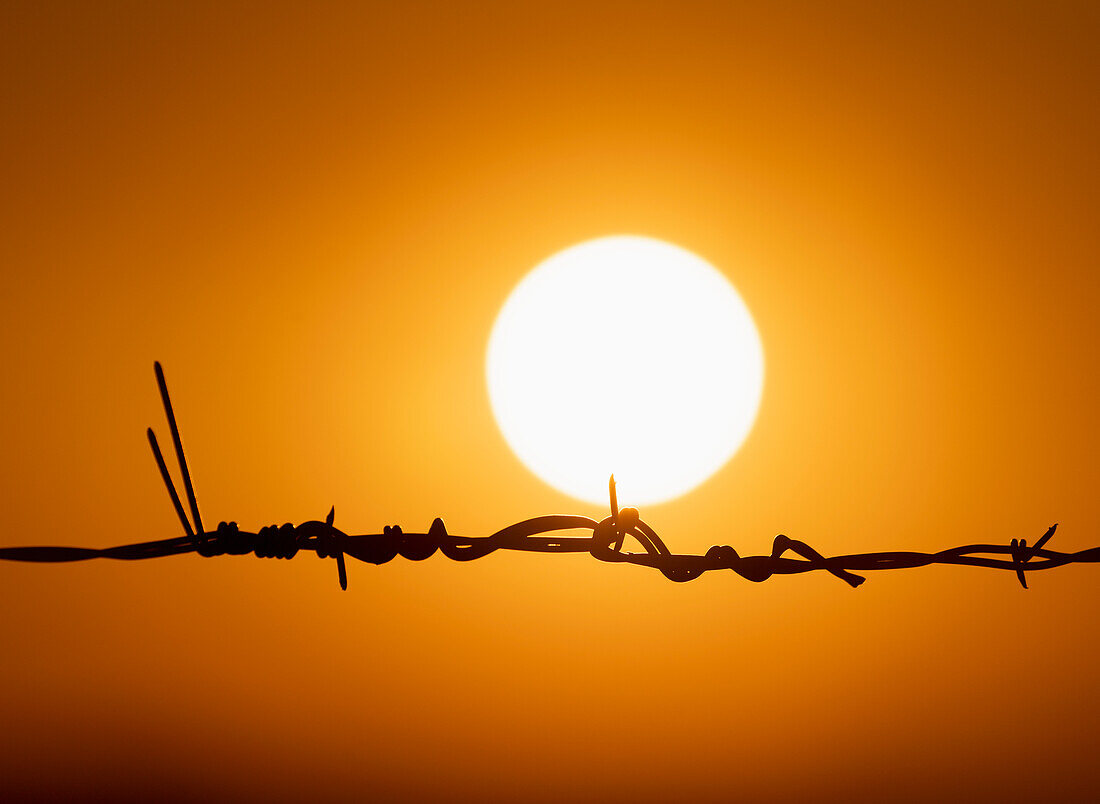 Sonnenuntergang vor orangefarbenem Himmel mit Silhouette aus Stacheldraht im Vordergrund