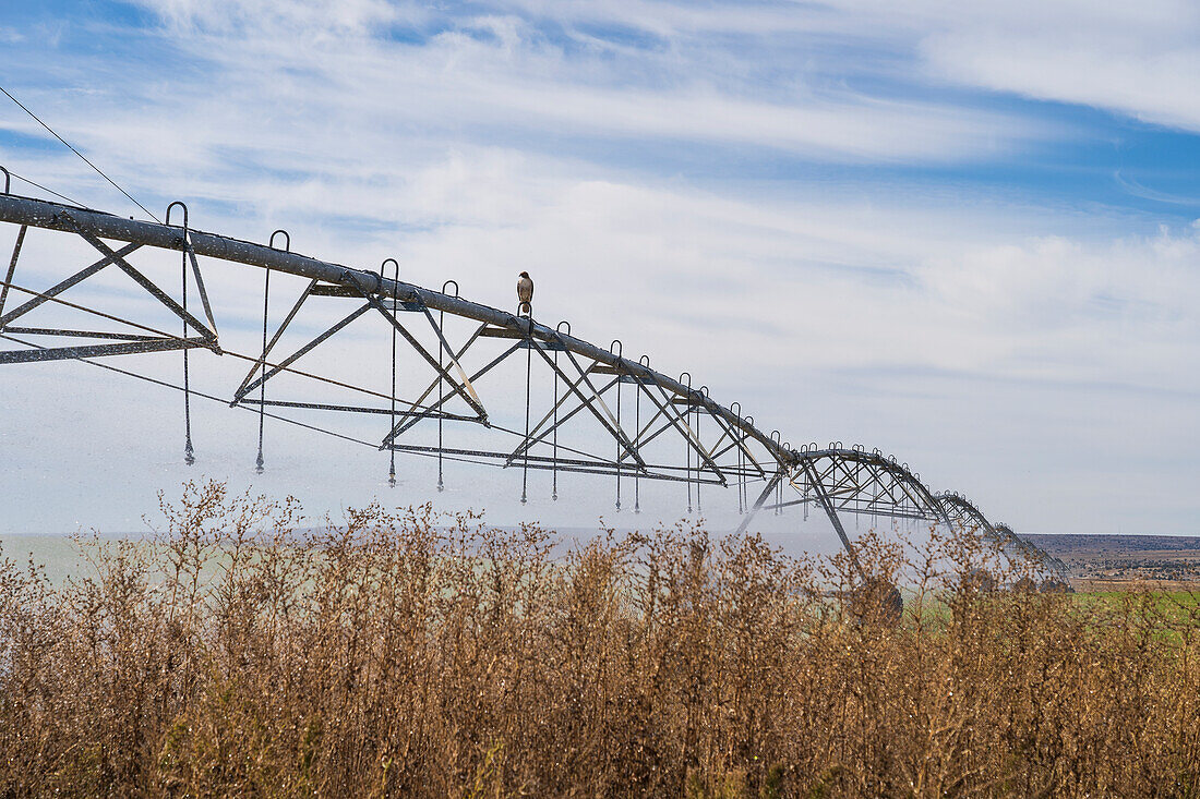 USA, New Mexico, Farmington, Bewässerungssystem im Feld