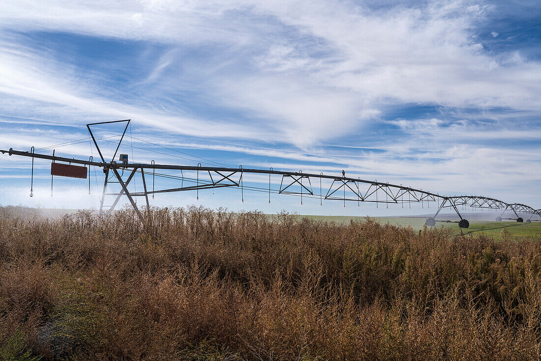 USA, New Mexico, Farmington, Bewässerungssystem im Feld