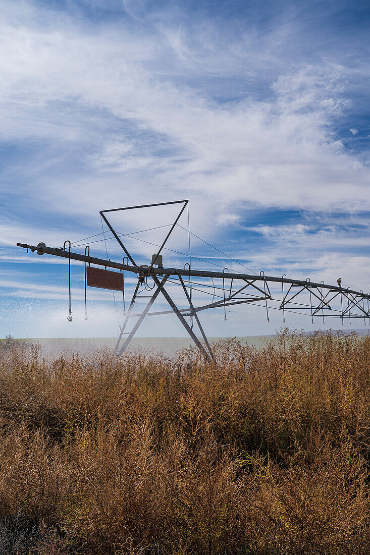 USA, New Mexico, Farmington, Bewässerungssystem im Feld