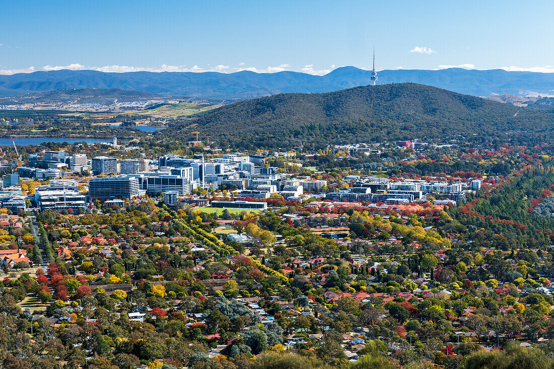 Australien, Australian Capital Territory, Canberra, Stadtbild im grünen Tal