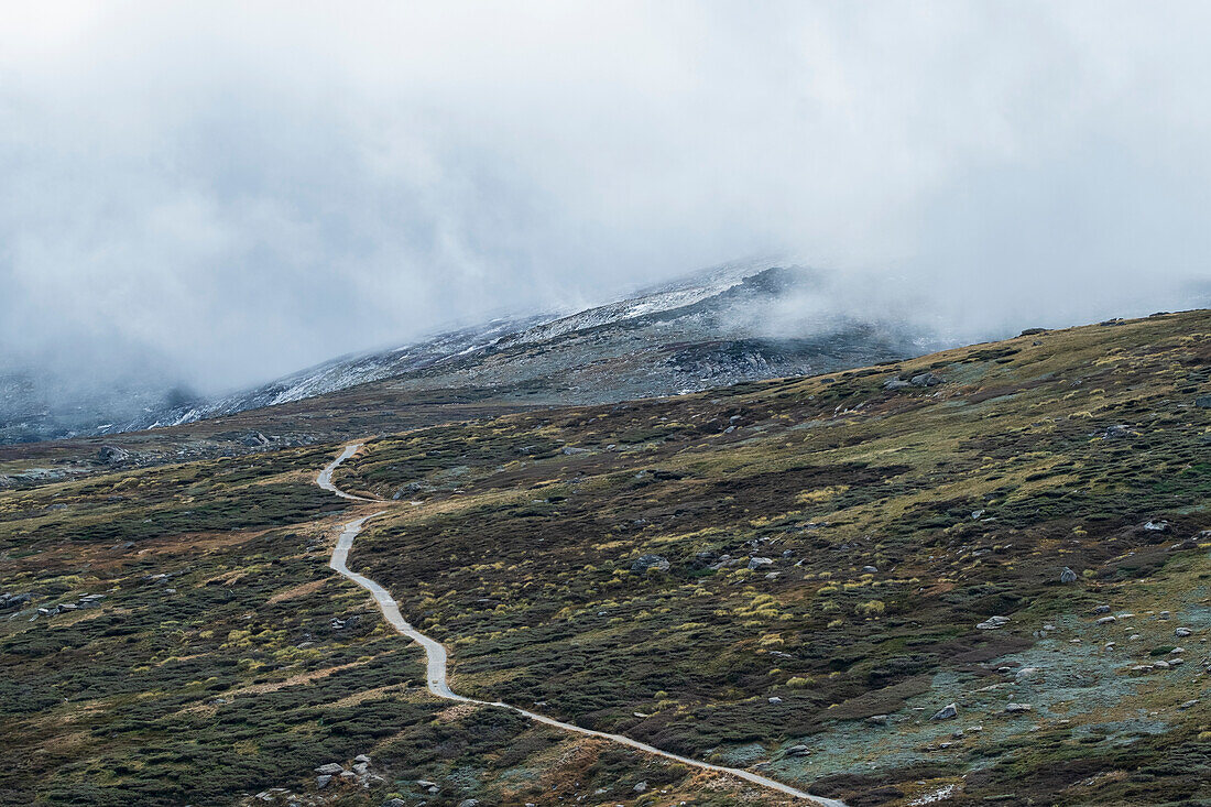 Australia, New South Wales, Hiking trail in mountains at Charlotte Pass in Kosciuszko National Park