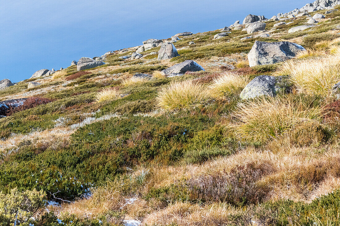 Australia, NSW, Kosciuszko National Park, Rocks on grassy hill