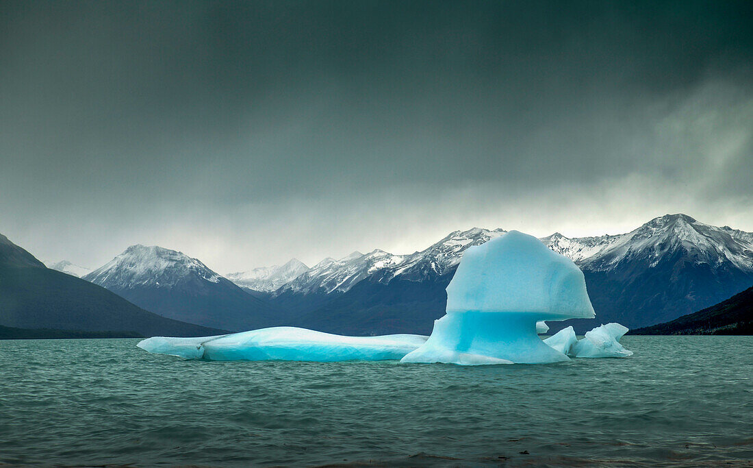 Südamerika. Argentinien. Provinz Santa Cruz. Patagonien. Gletscher-Nationalpark (Parque Nacional de los Glaciars) Eisberg vom Perito-Moreno-Gletscher am Lago Argentino.
