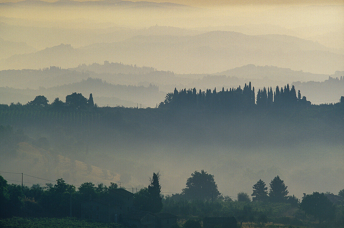 Italien, Toskana, Val D'Orcia, Ländliche Hügellandschaft mit Morgennebel