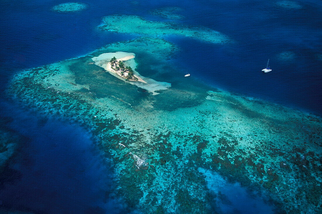 Belize, Caribbean, Aerial view of small island on Caribbean sea