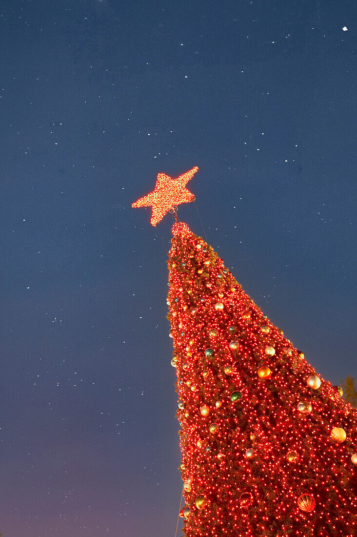 Low angle view of red Christmas tree against sky at night