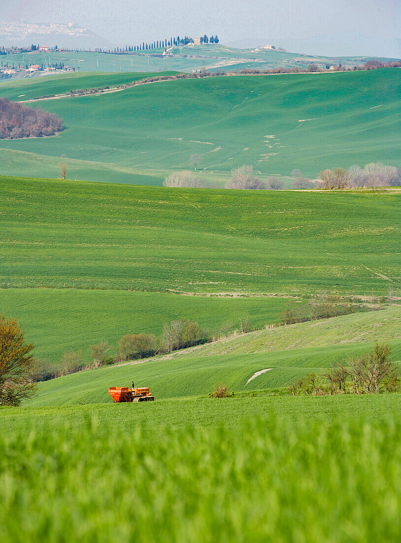 Italy, Tuscany, Val D'Orcia, Pienza, Combine harvester in green field