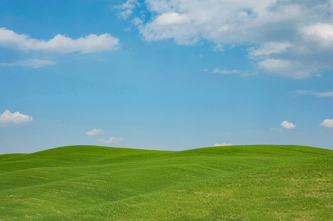 Italien, Toskana, Val D'Orcia, grüne Hügel unter blauem Himmel