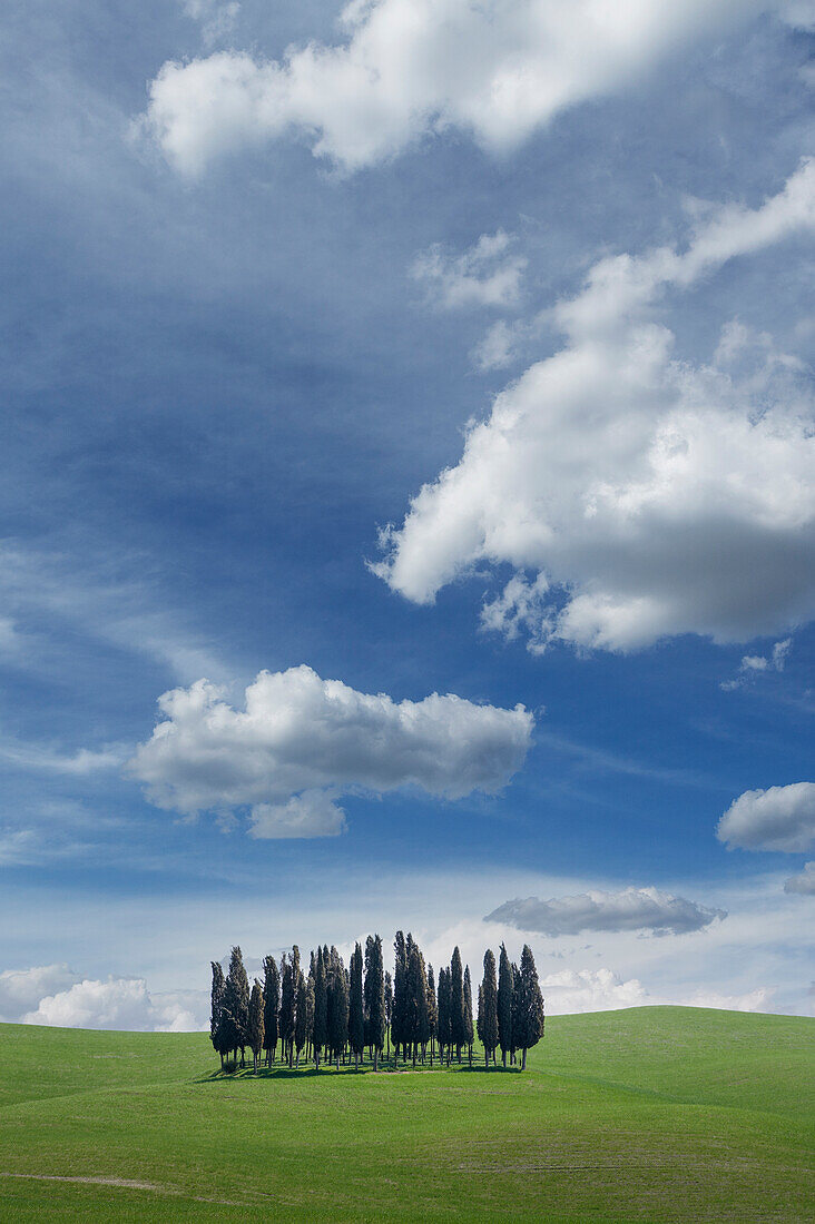 Italy, Tuscany, Val D'Orcia, Cypresses on green hill and clouds