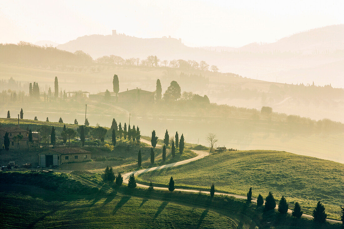 Italien, Toskana, Val D'Orcia, kurvenreiche Schotterstraße zwischen Zypressen bei Sonnenuntergang