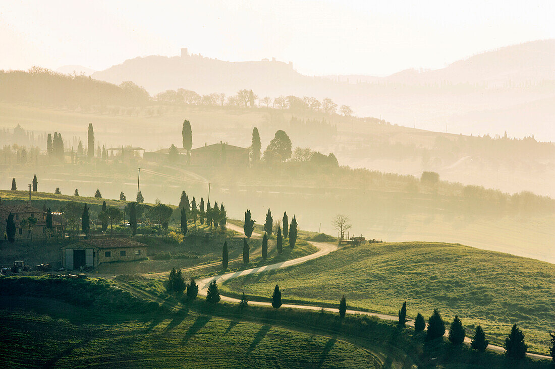 Italy, Tuscany, Val D'Orcia, Winding dirt road among cypresses at sunset