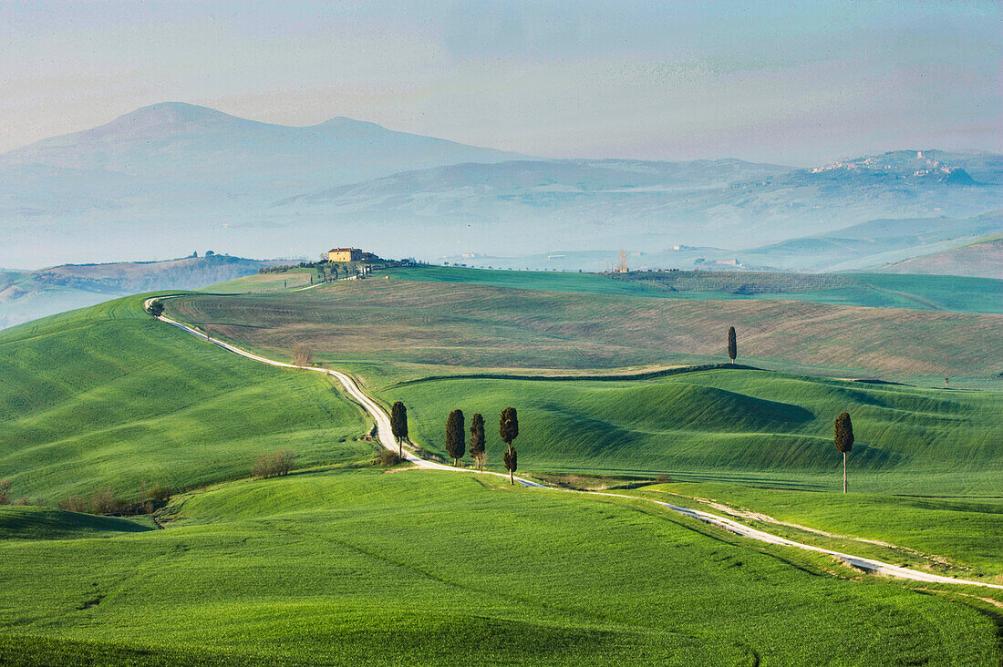 Italy, Tuscany, Val D'Orcia, Dirt road crossing green hills