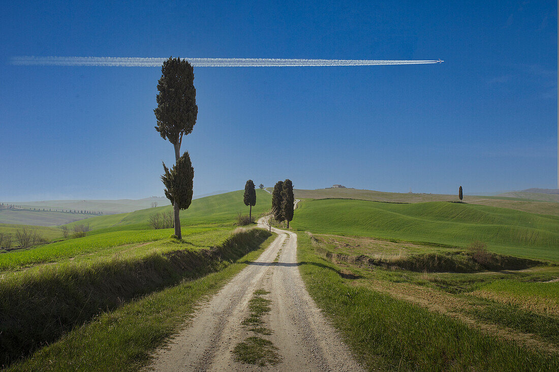 Italien, Toskana, Val D'Orcia, Flugzeug fliegt über unbefestigte Straße zwischen Zypressen