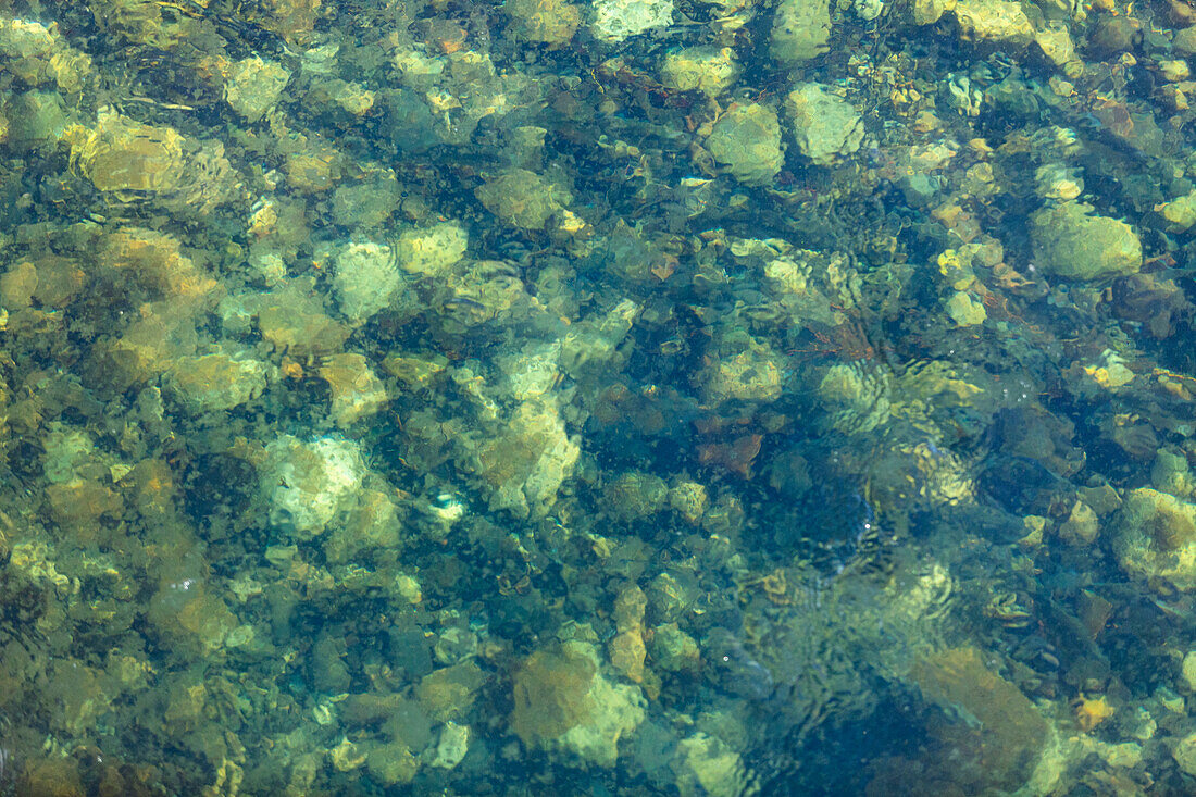 USA, Idaho, Stanley, Clear waters of Salmon River