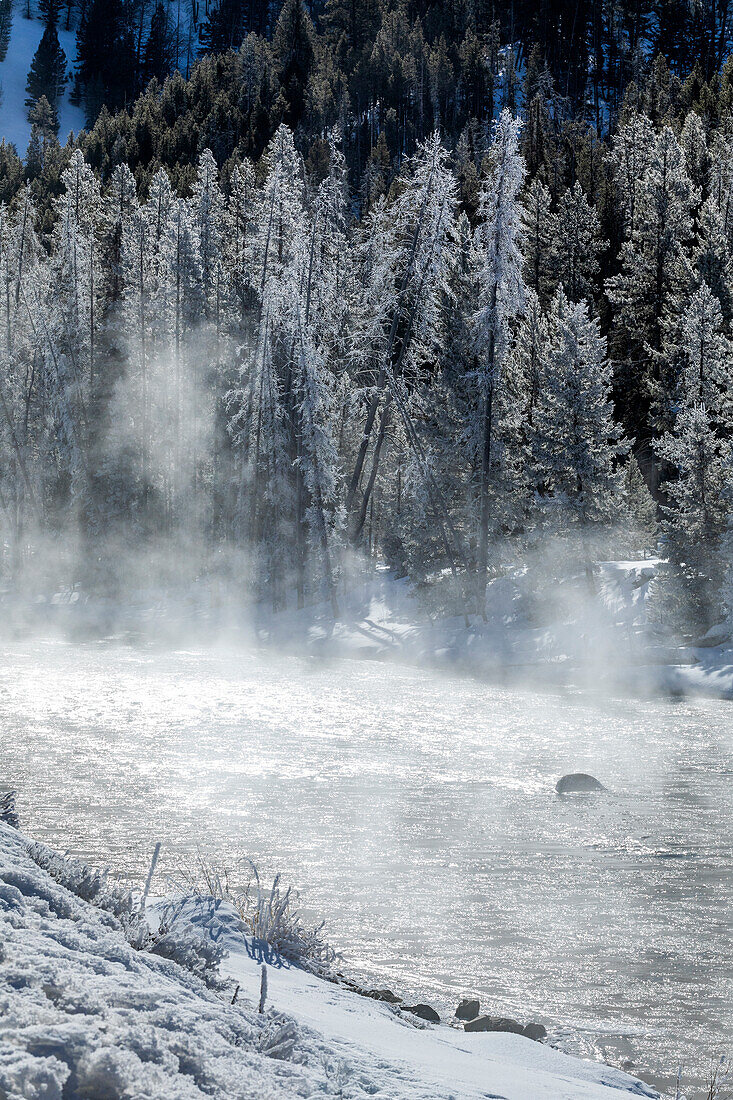 USA, Idaho, Stanley, Salmon River in winter