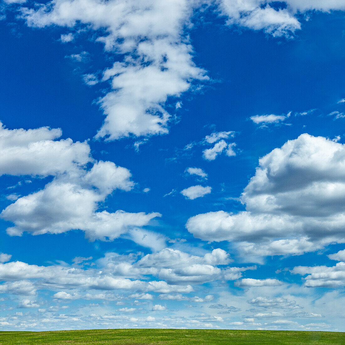 USA, Idaho, Bellevue, Fluffy clouds on sky above field near Sun Valley