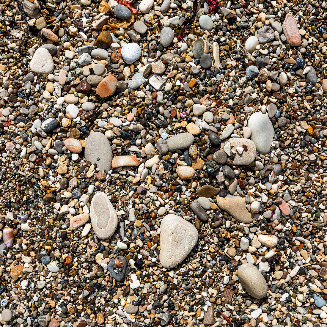 Nahaufnahme von Kieselsteinen am Strand
