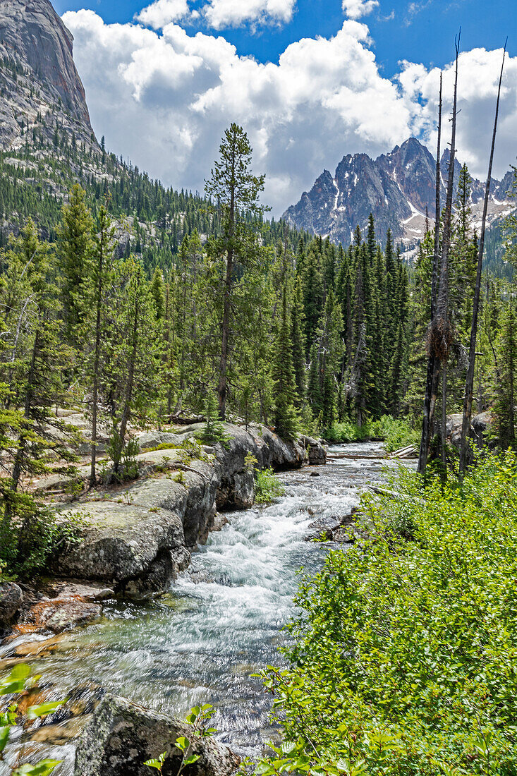 USA, Idaho, Stanley, rauschender Bach und Wald in den Sawtooth Mountains