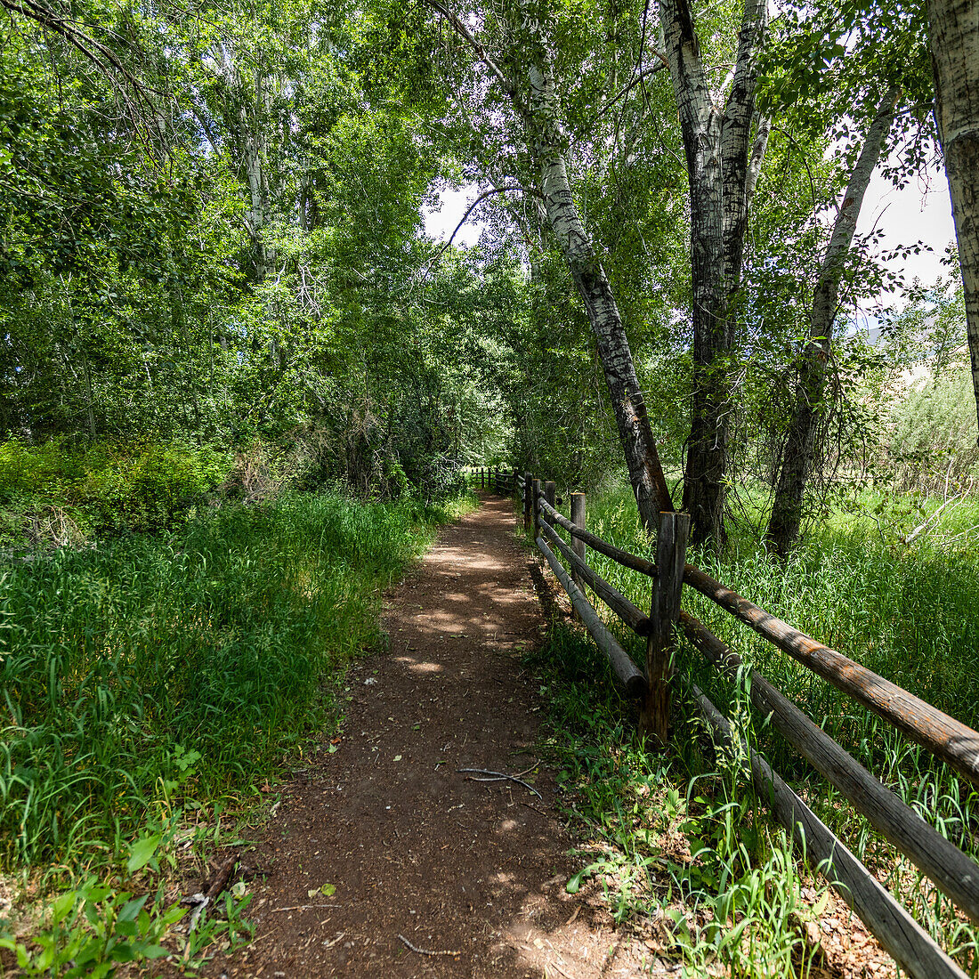 USA, Idaho, Bellevue, Wanderweg und Holzzaun in ländlicher Umgebung