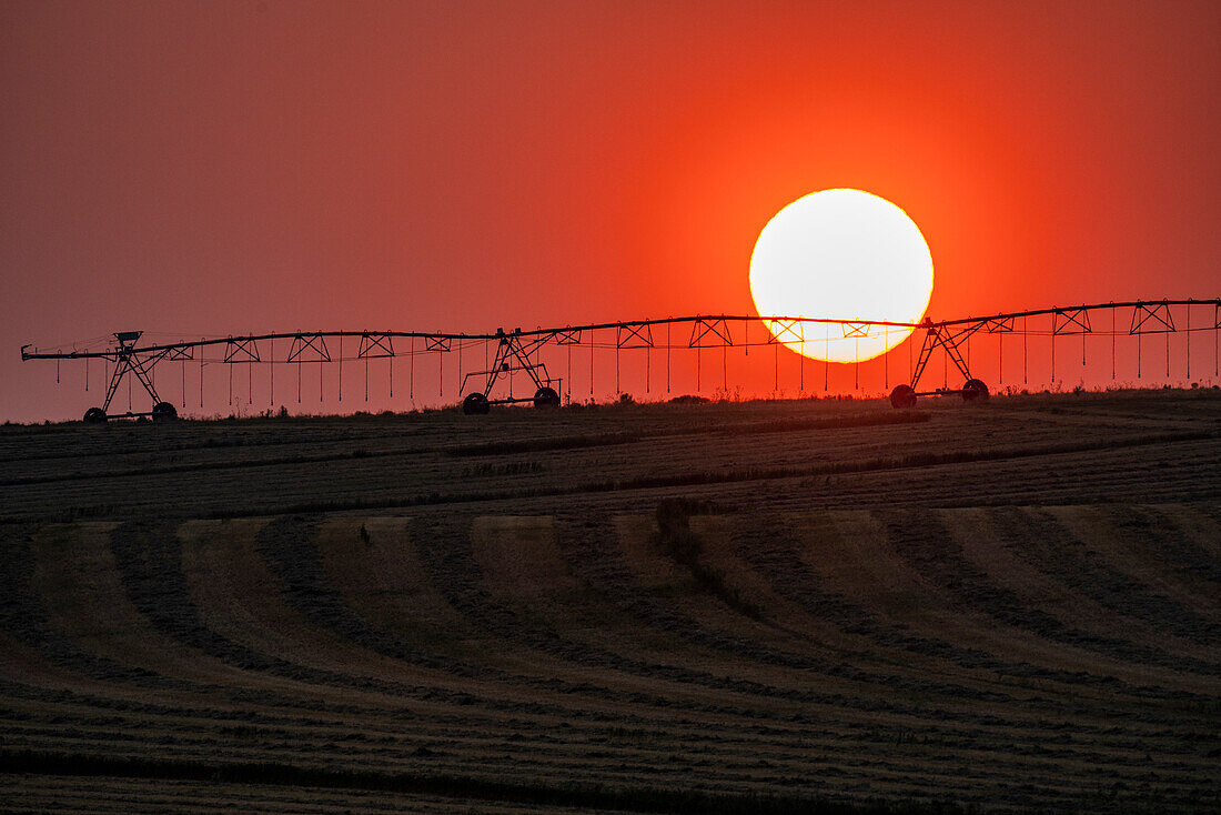 USA, Idaho, Bellevue, Irrigation equipment in field against setting sun