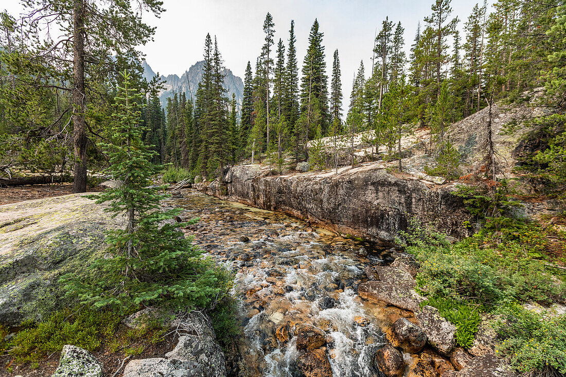 USA, Idaho, Stanley, Creek im Wald in den Sawtooth Mountains