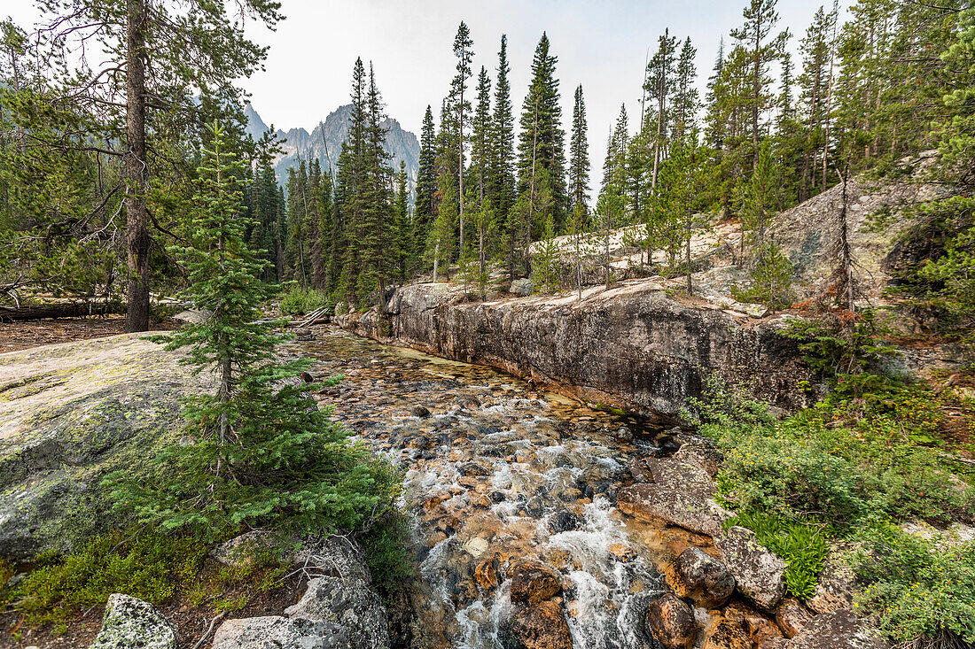 USA, Idaho, Stanley, Creek in forest in Sawtooth Mountains