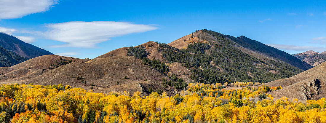 USA, Idaho, Ketchum, bewaldete Hügel im Herbst