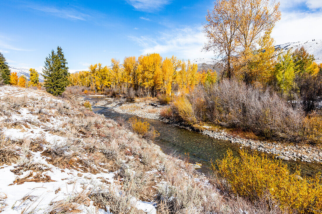 USA, Idaho, Ketchum, Fall foliage in mountains near Sun Valley