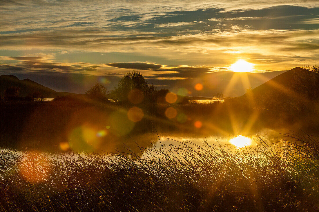 USA, Idaho, Bellevue, Sunrise over reeds in calm spring creek