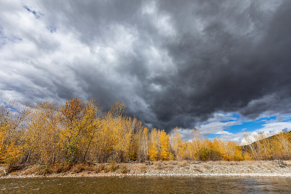 USA, Idaho, Bellevue, Gewitterwolken über Herbstwald und Big Wood River
