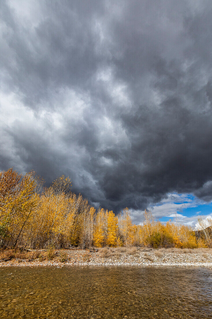 USA, Idaho, Bellevue, Gewitterwolken über Herbstwald und Big Wood River