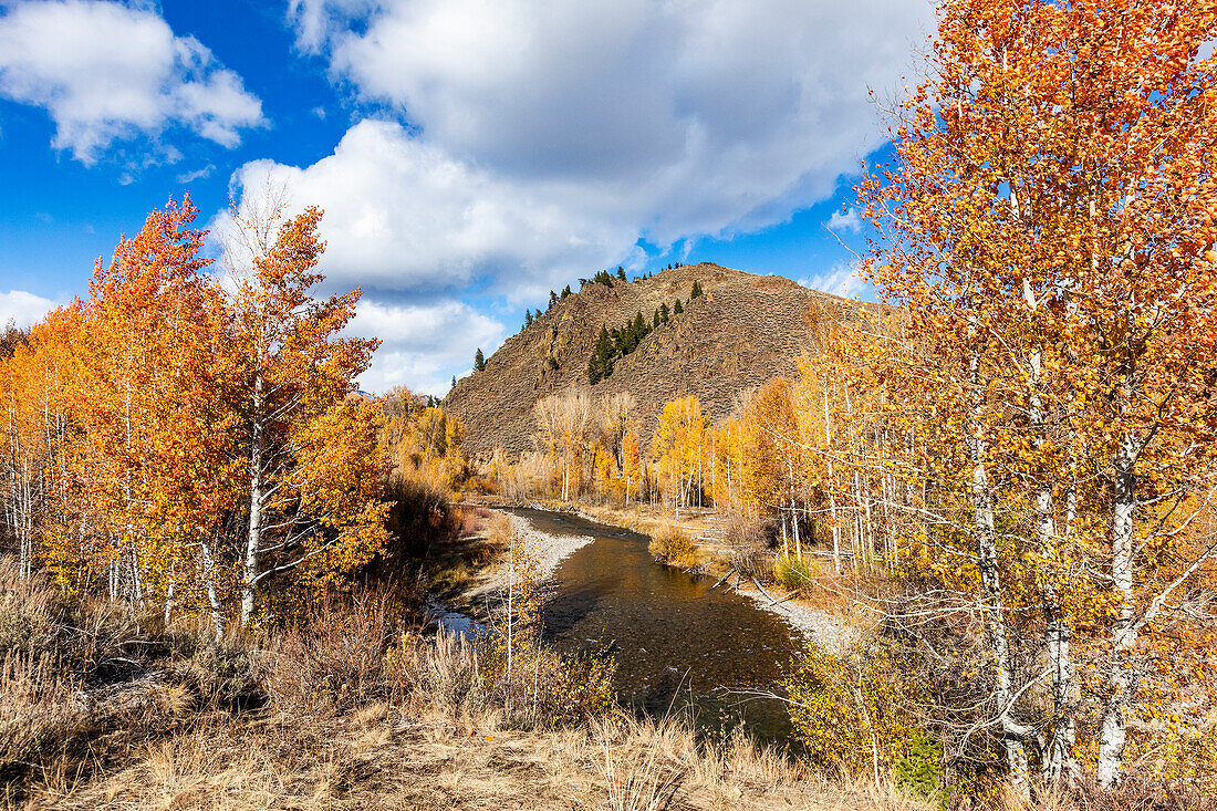 USA, Idaho, Ketchum, Herbstlandschaft an einem sonnigen Tag
