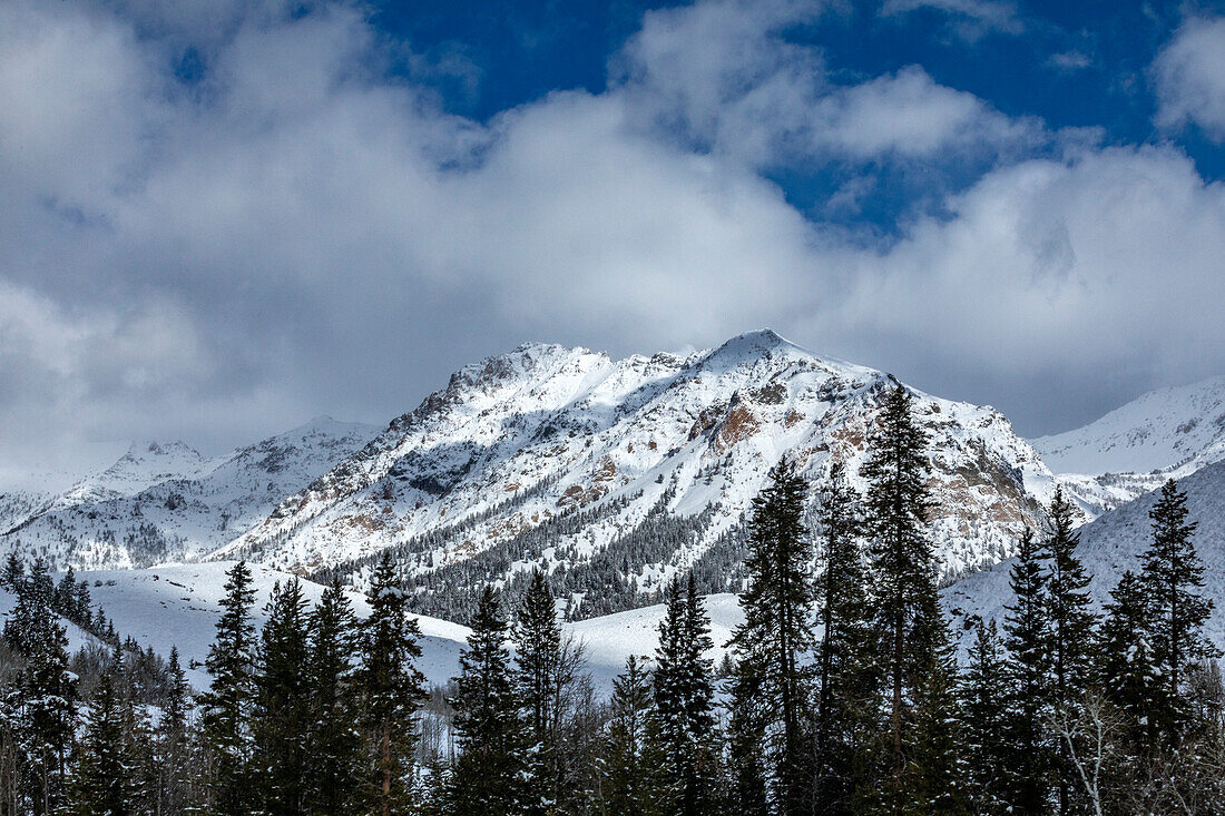 USA, Idaho, Ketchum, Berglandschaft und Wald im Winter