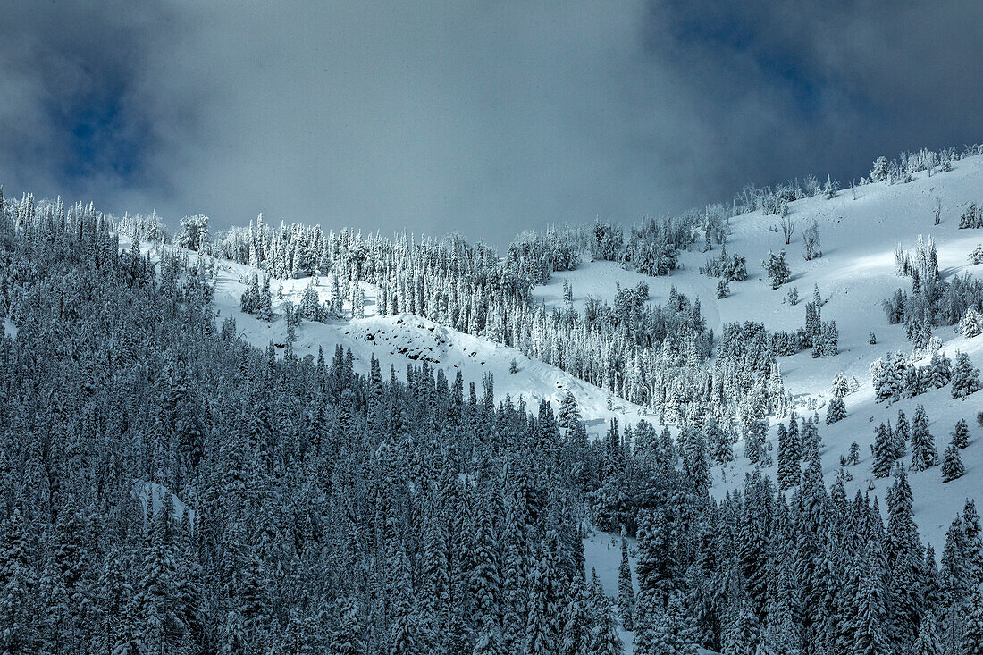 USA, Idaho, Ketchum, Berglandschaft und Wald im Winter