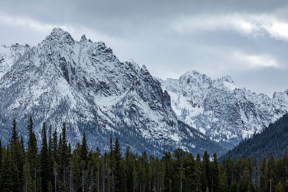 USA, Idaho, Stanley, Mountain landscape and forest in winter