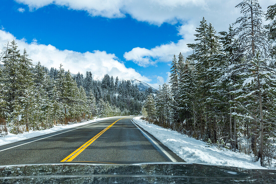 USA, Idaho, Ketchum, Autobahn durch verschneiten Wald