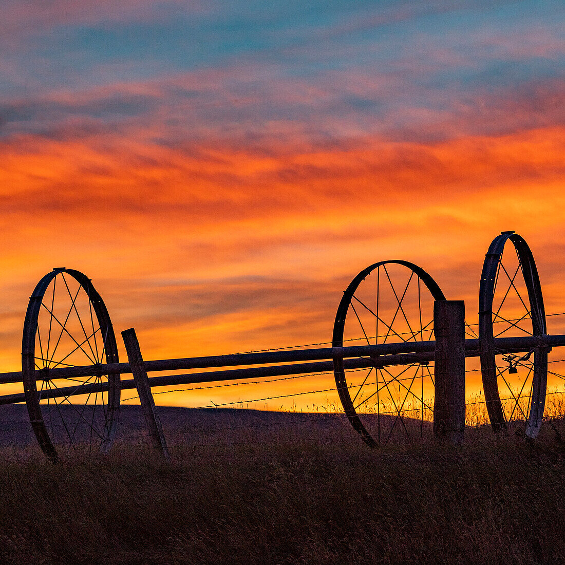 USA, Idaho, Bellevue, Silhouette of irrigation wheels in field at sunset