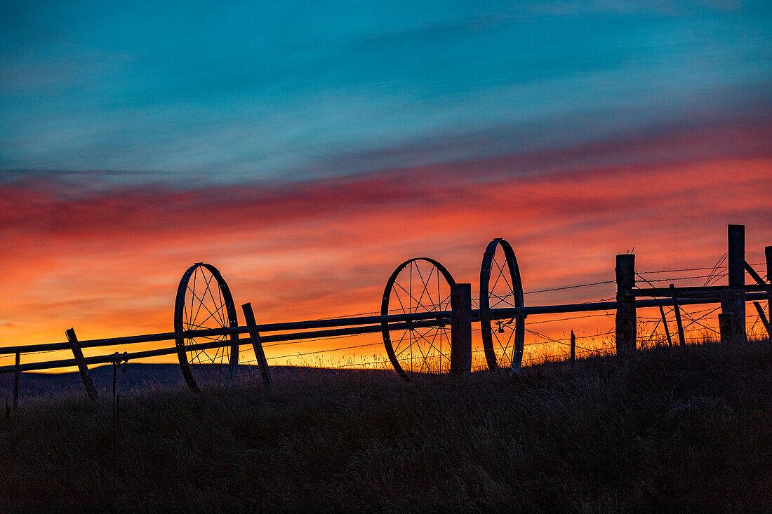 USA, Idaho, Bellevue, Silhouette of irrigation wheels in field at sunset