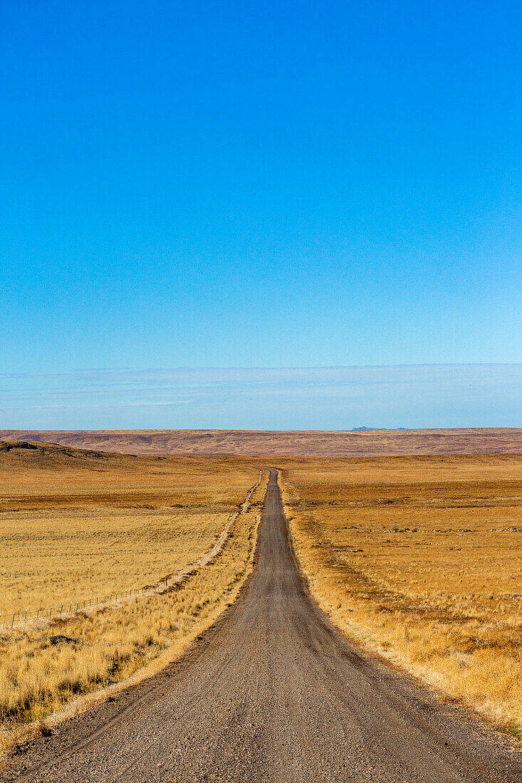 USA, Nevada, Winnemucca, Empty desert road and blue sky