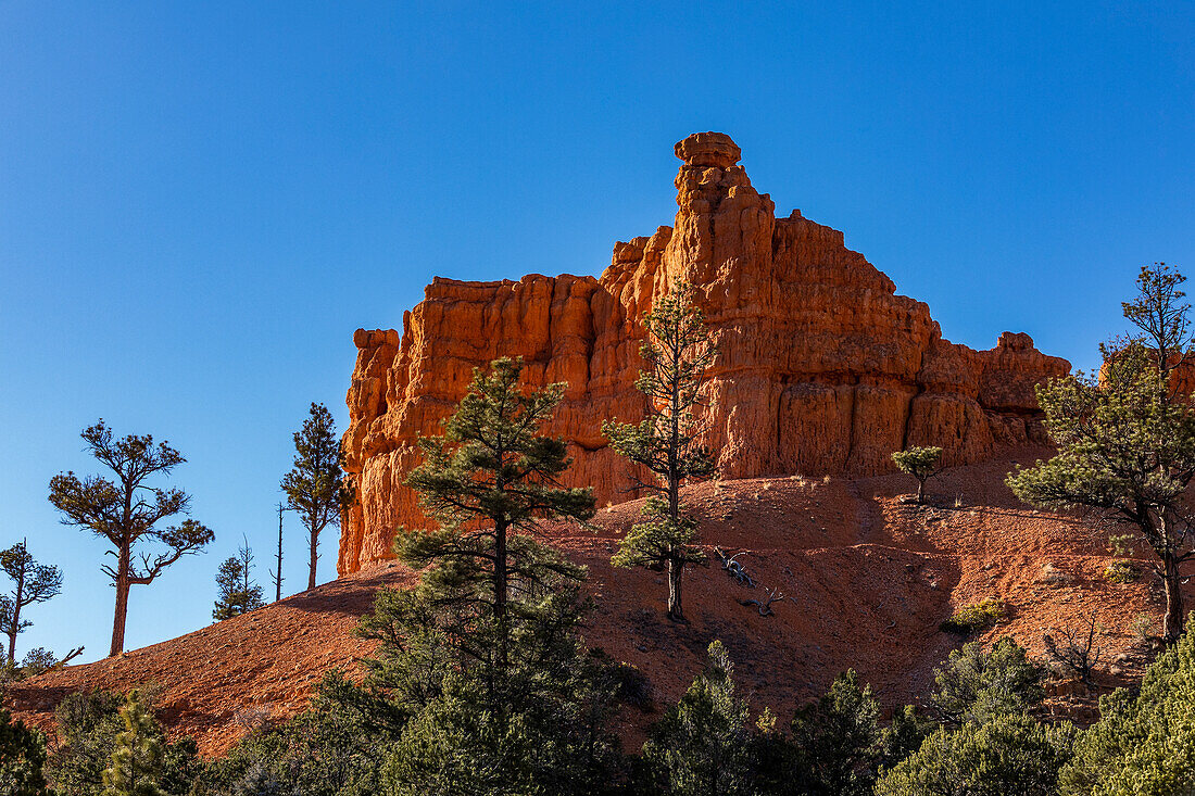 United States, Utah, Bryce Canyon National Park, Hoodoo rock formations