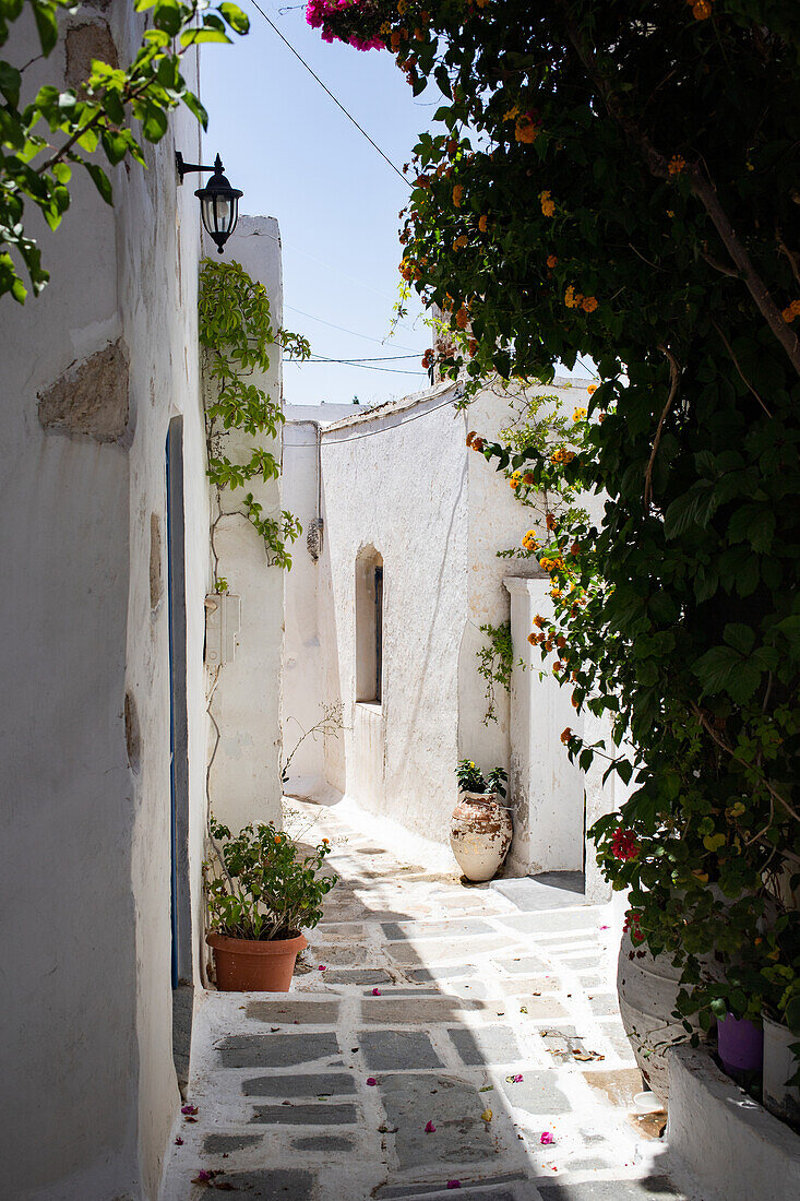 Traditionelles weiß getünchtes Haus in Chora, Serifos, Kykladen, griechische Inseln, Griechenland, Europa