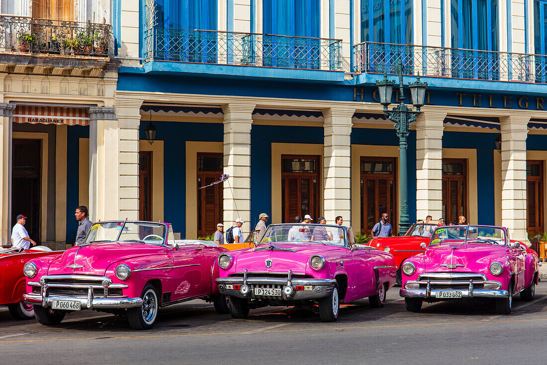 Rote und rosafarbene amerikanische Oldtimer-Taxis auf der Straße in Havanna, Kuba, Westindien, Mittelamerika