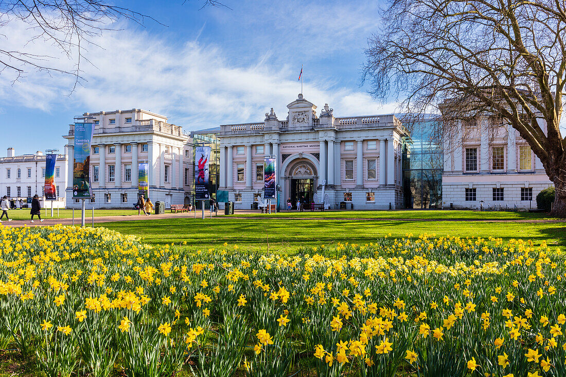 National Maritime Museum an einem Frühlingstag mit blauem Himmel und Narzissen, Greenwich, London, England, Vereinigtes Königreich, Europa