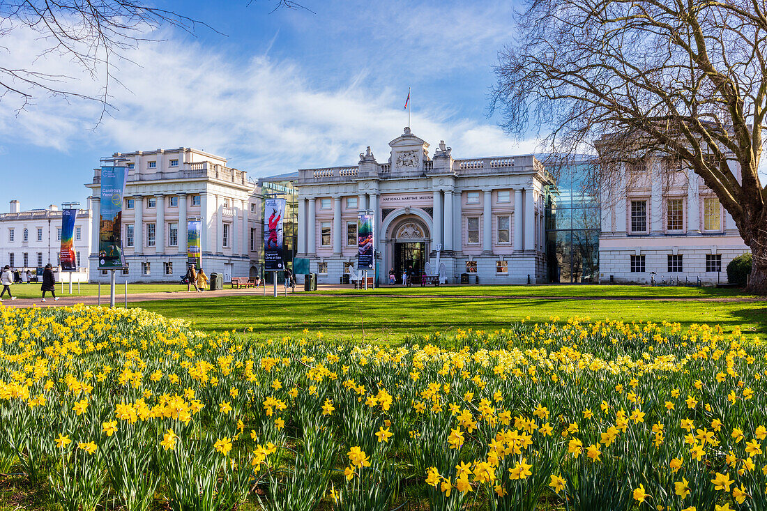 National Maritime Museum on a spring day with blue skies and daffodils, Greenwich, London, England, United Kingdom, Europe