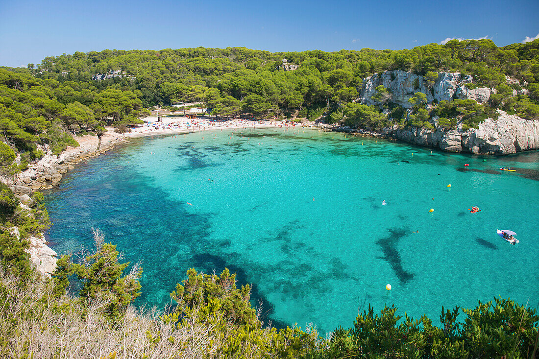 Blick über das türkisfarbene Wasser der Cala Macarella zum von Pinien gesäumten Sandstrand, Cala Galdana, Menorca, Balearen, Spanien, Mittelmeer, Europa