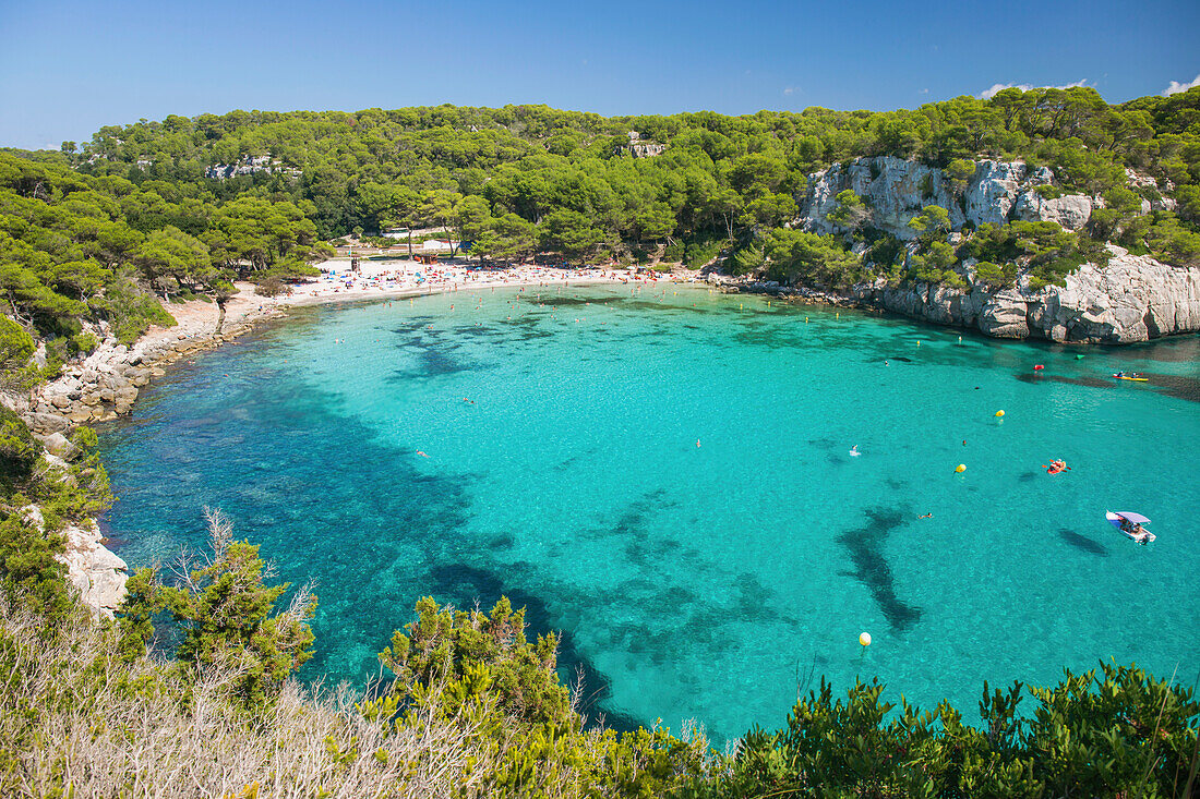 View over the turquoise waters of Cala Macarella to pine-fringed sandy beach, Cala Galdana, Menorca, Balearic Islands, Spain, Mediterranean, Europe