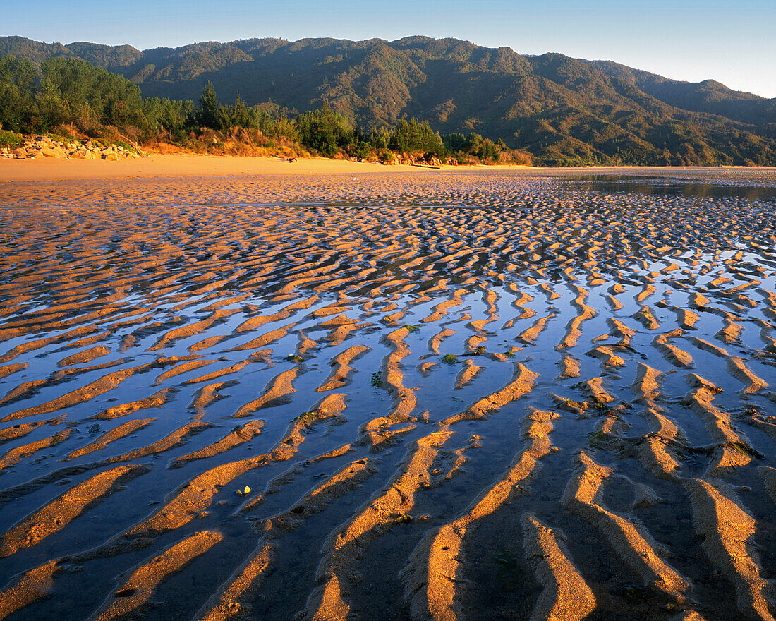 New Zealand, Abel Tasman National Park, Coast