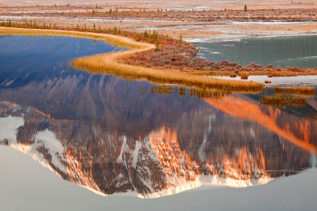 Kanada, Alberta, Jasper-Nationalpark. Der Mount Kitchener spiegelt sich im Sunwapta River wider