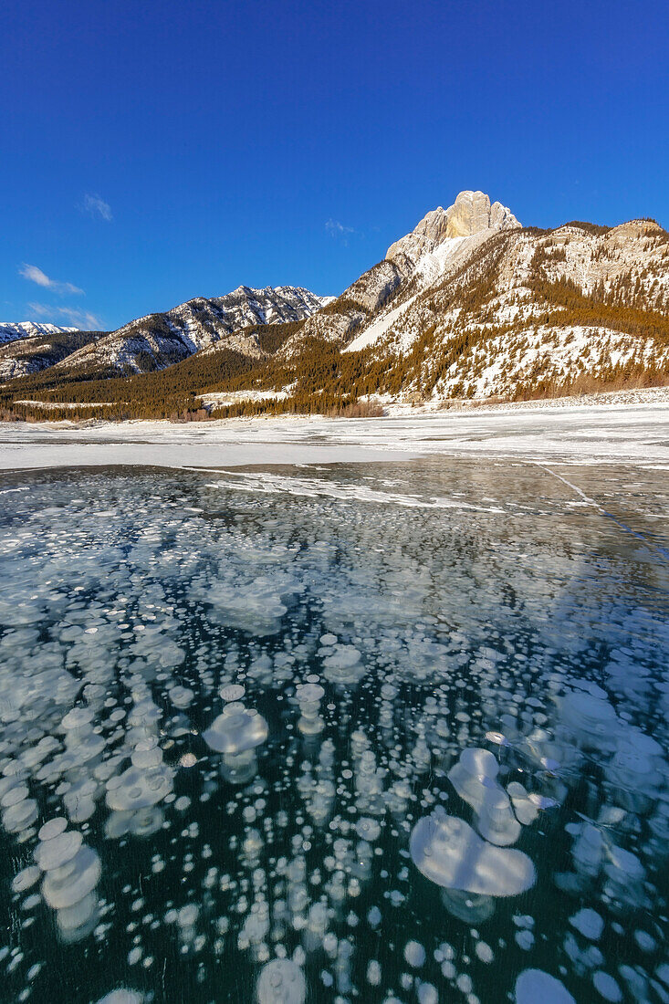 Methaneis sprudelt unter klarem Eis auf dem Abraham Lake mit dem Mount Abraham in der Nähe von Nordegg, Alberta, Kanada.